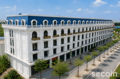 Ngói phẳng Pháp SE-11
